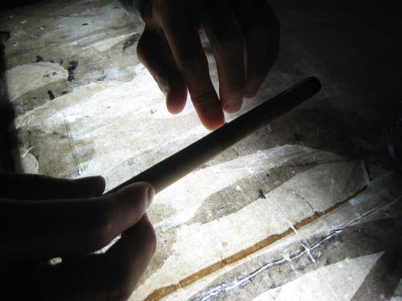 折れ伏せ作業 折れ伏せ作業の様子