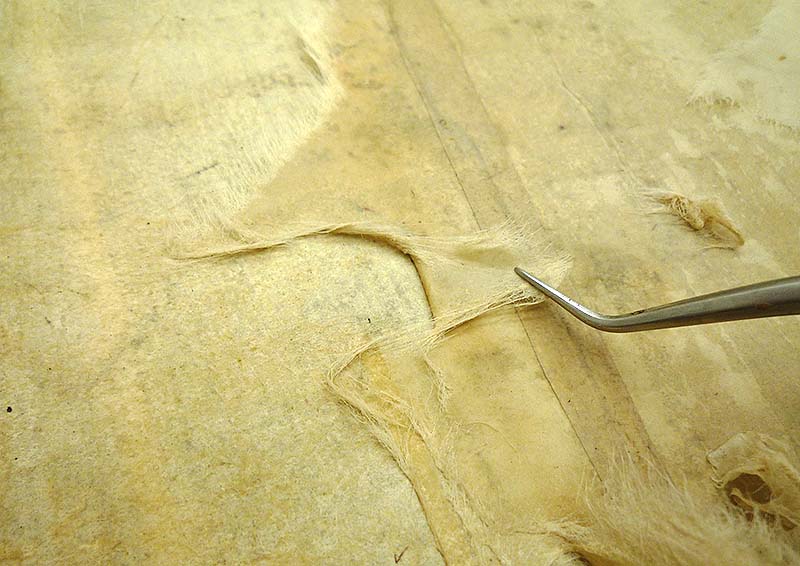 総裏 裏打ち和紙の除去の様子