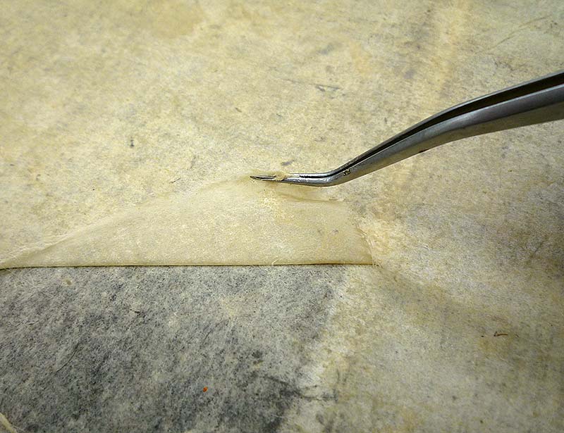 増裏 裏打ち和紙の除去の様子