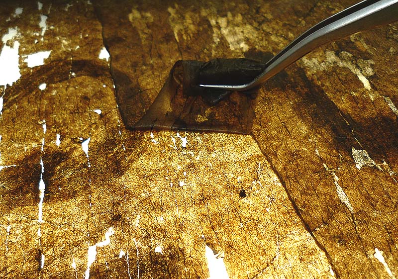 肌裏 裏打ち和紙の除去の様子